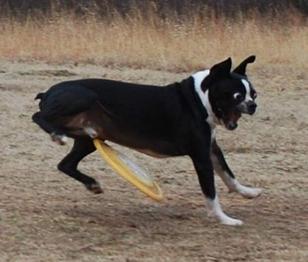 1439142689_10 (450x384, 121Kb)