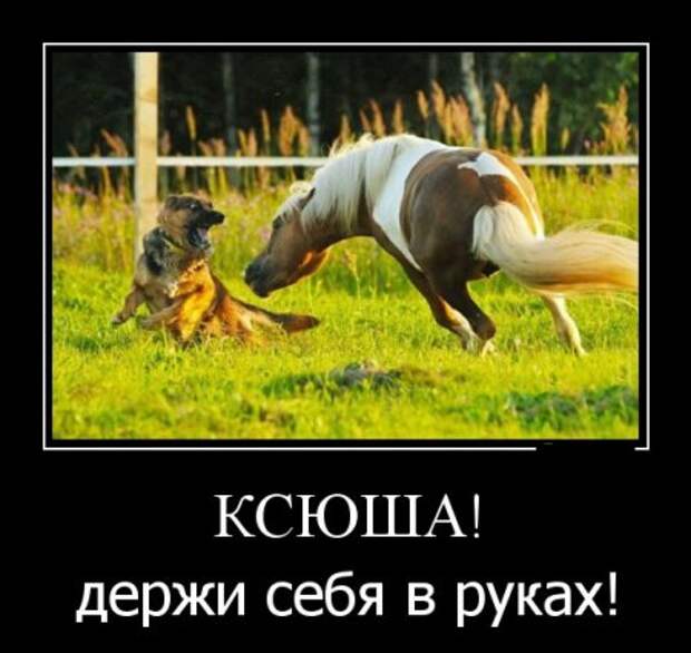 Демотиваторы прикольные опять появились.
