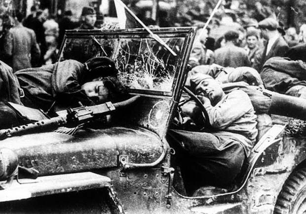 Главные фотографии Главные фотографии