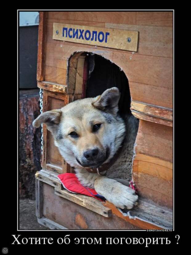 Сними напряжение! 0