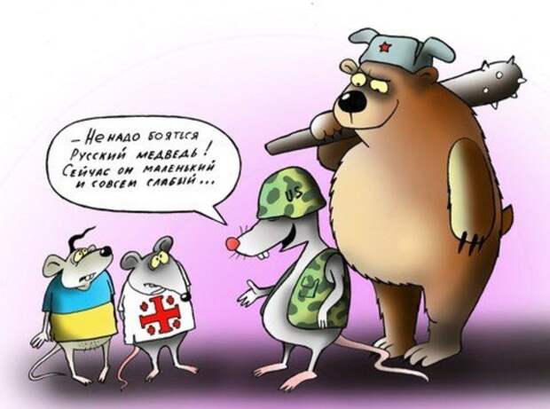 К вопросу о вступлении Грузии в НАТО