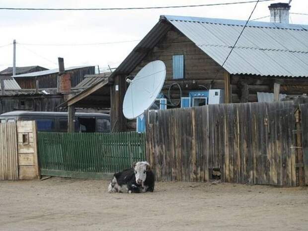 Тем временем в России