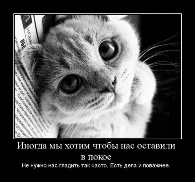 Демотиваторы №1003 (30 фото) Демотиваторы №1003 (30 фото)