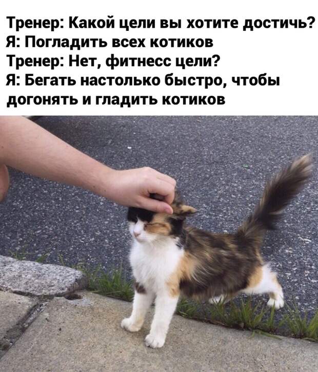 Цель Цель