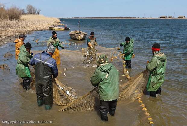 Как ловят рыбу в Астрахани (16)
