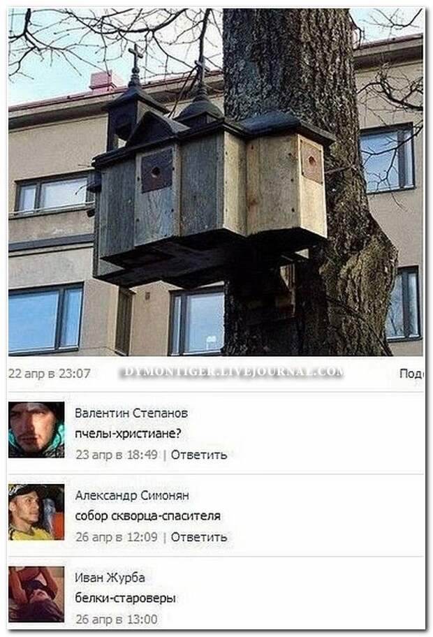 Смешные комментарии из социальных сетей 28.05.14 комментарии, прикол, соцсети