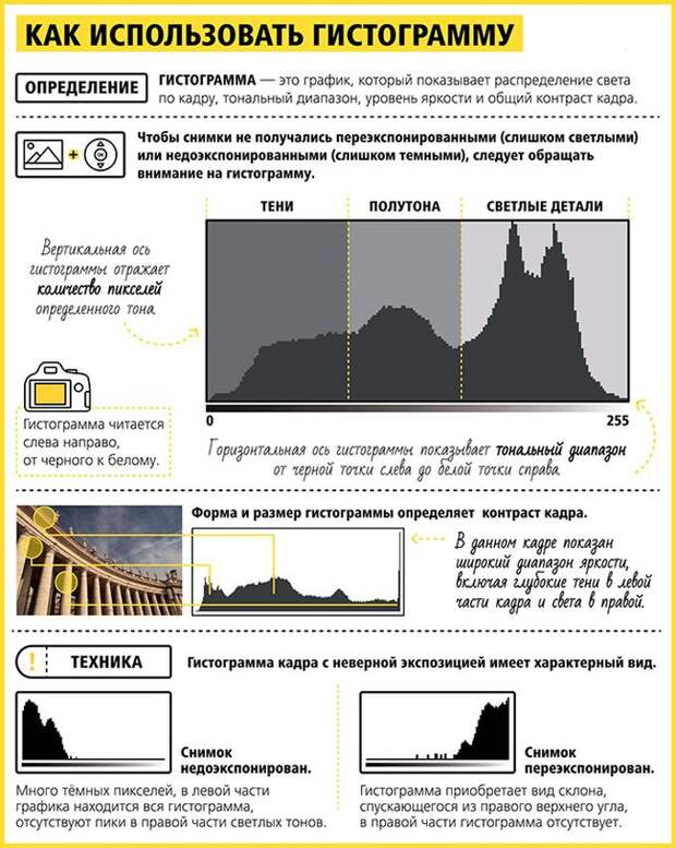 Абсолютно всё, что нужно знать новичкам и любителям о фотографии инфографика, фото, фотограф