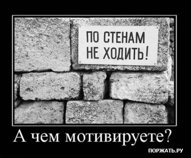 Демотиваторы приколы и юмор в смешных фотках с надписями.