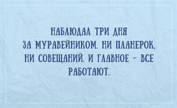 жизненные открытки для отличного настроения