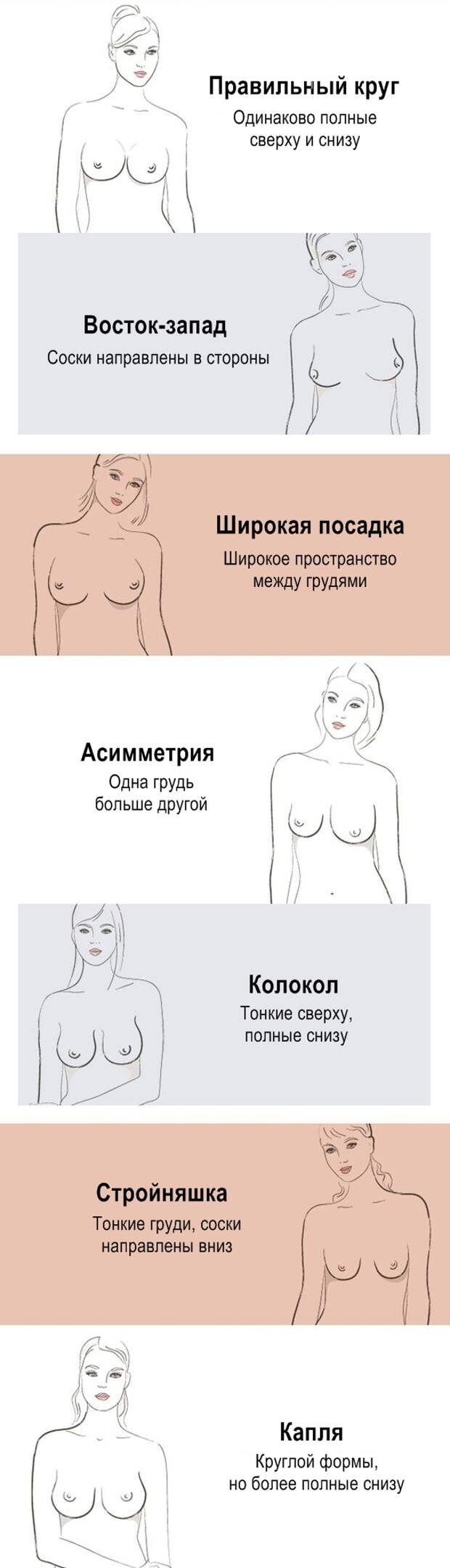 правильная форма груди у женщин фото 116