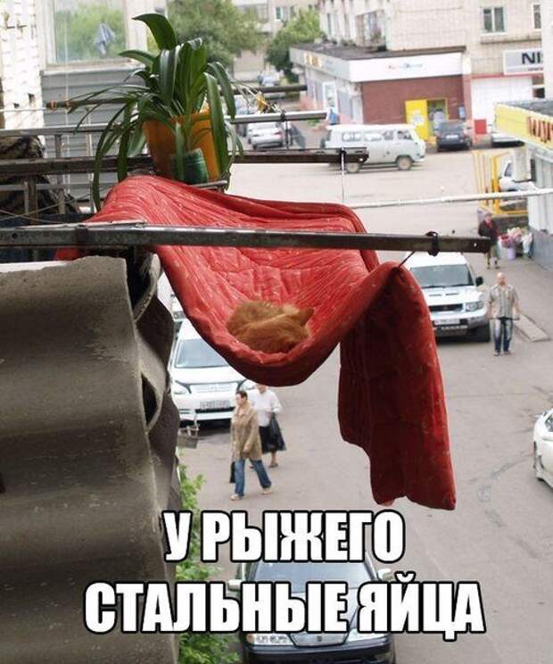 Разнообразная подборка =) Улыбок! Разнообразная подборка =) Улыбок!