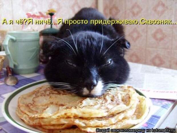 Животные мысли вслух Животные мысли вслух