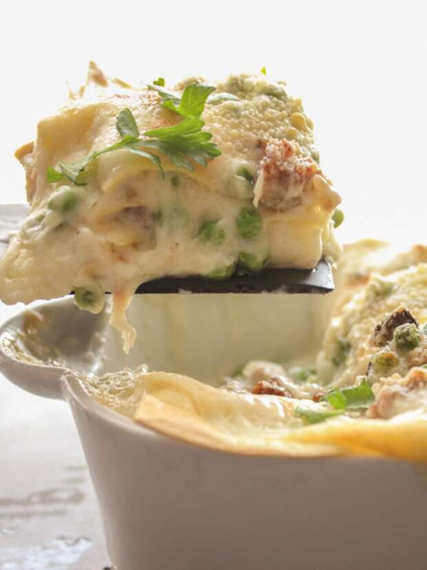 20 видов лазаньи которые изменят вашу жизнь 