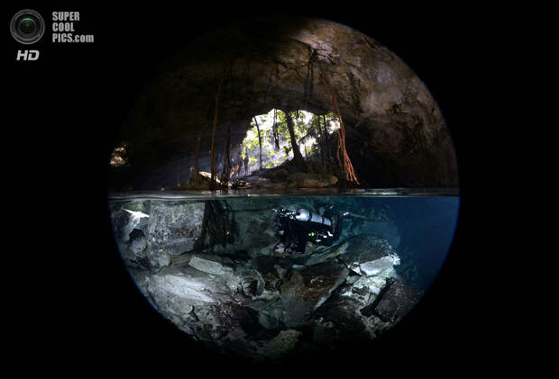 Категория: Over/Under. 1 место. (Uwe Schmolke/UnderwaterPhotography.com)