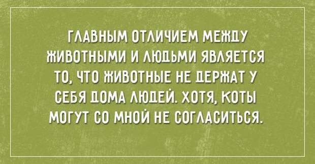 26 саркастичных открыток о жизни открытки, юмор