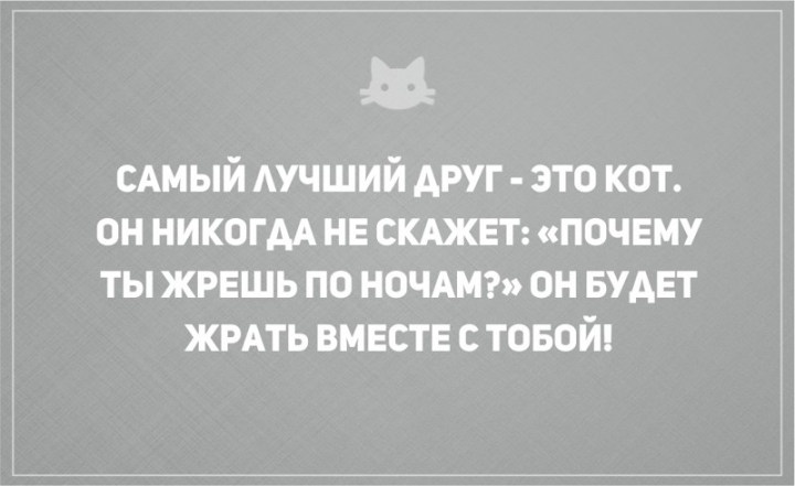 открытки о том, что без кота и жизнь не та (1)