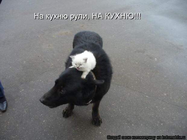 Мысли вслух :)