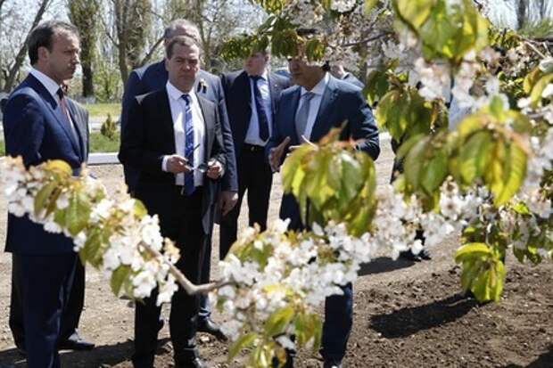 Дмитрий Медведев в Крыму