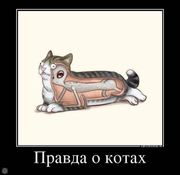 Воскресная порция философского юмора 30
