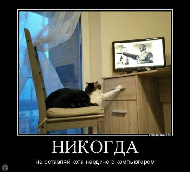 Не доверяй никому! 36