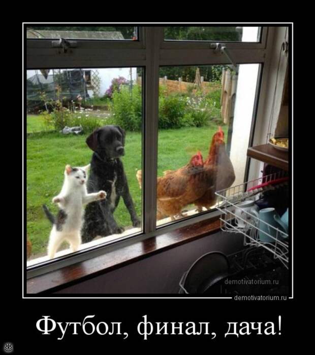 Острые и смешные демотиваторы 5