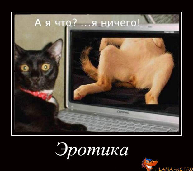 демотиваторы по русскии