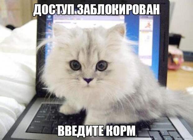 Мысли вслух Мысли вслух