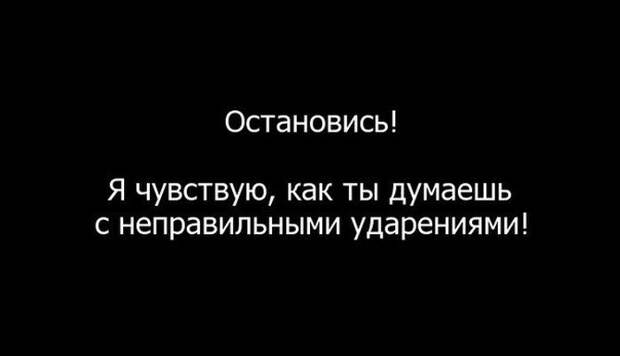 открытки с сарказмом для знатоков русского языка 