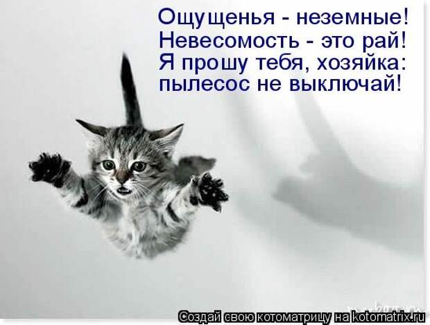 Котоматрица