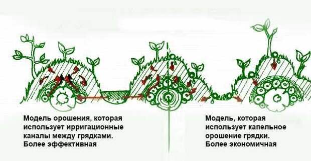 Как сделать высокие грядки: 100 полезных идей