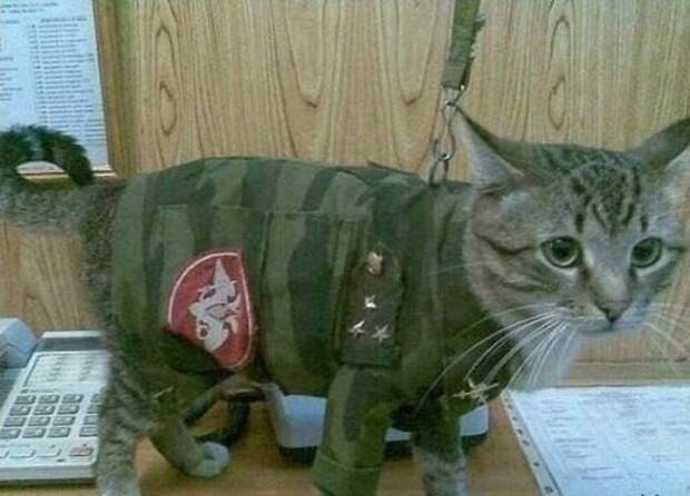 Такую страну не победить... Такую страну не победить...