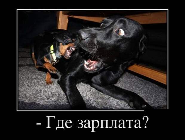 Демотиваторы (30 фото)