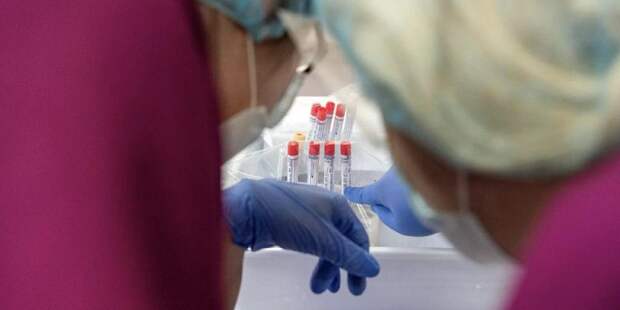 Москва привлекла частные лаборатории к проведению тестов на коронавирус / Фото: mos.ru