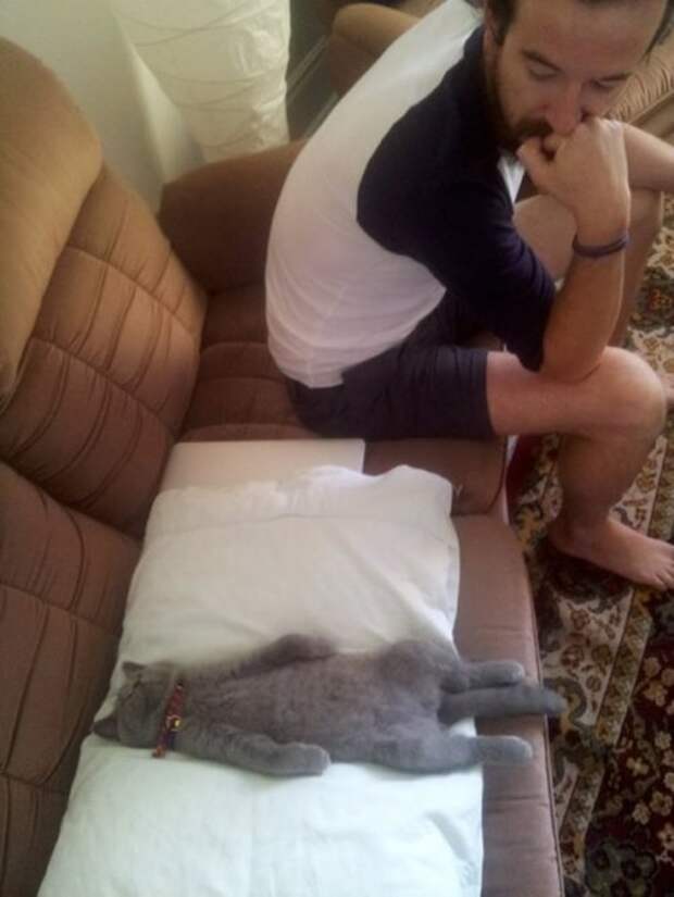 Прикольная подборка картинок и фоток (29 шт)