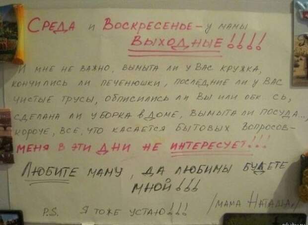 записки от любимых жен