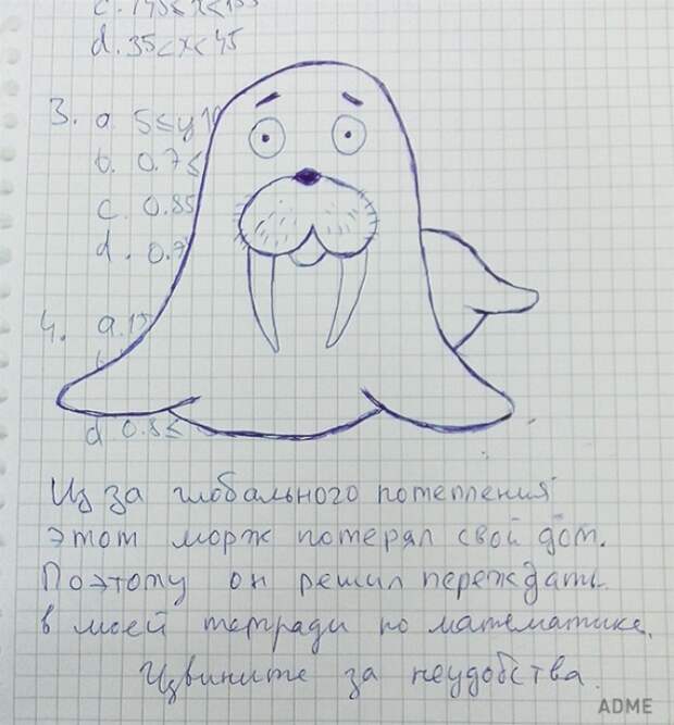 Посмотрите на мордашку моржа. Ну разве можно его за это ругать?