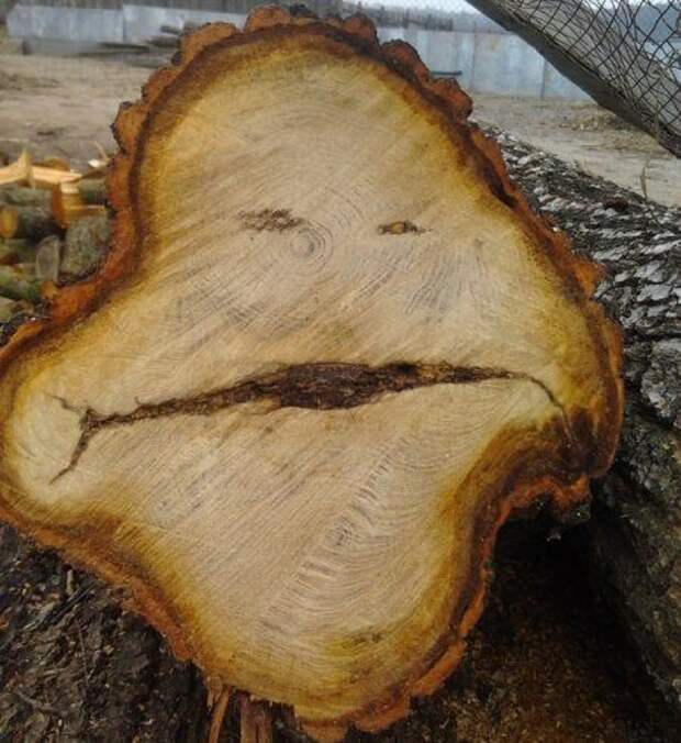 Они следят за тобой