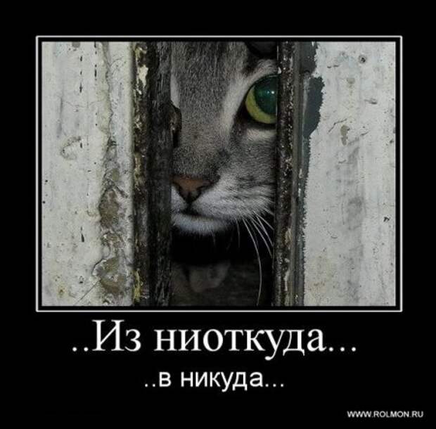 Деотиваторы о чувствах со смыслом.