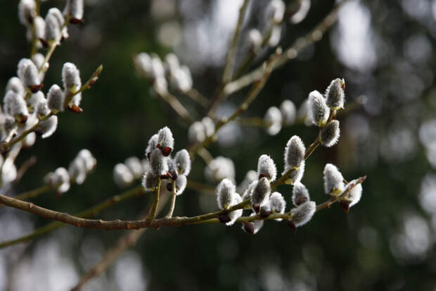 В Тульской области ожидается резкое похолодание после аномального тепла