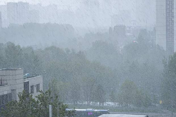 Синоптики пообещали Свердловской области ливневые снегопады