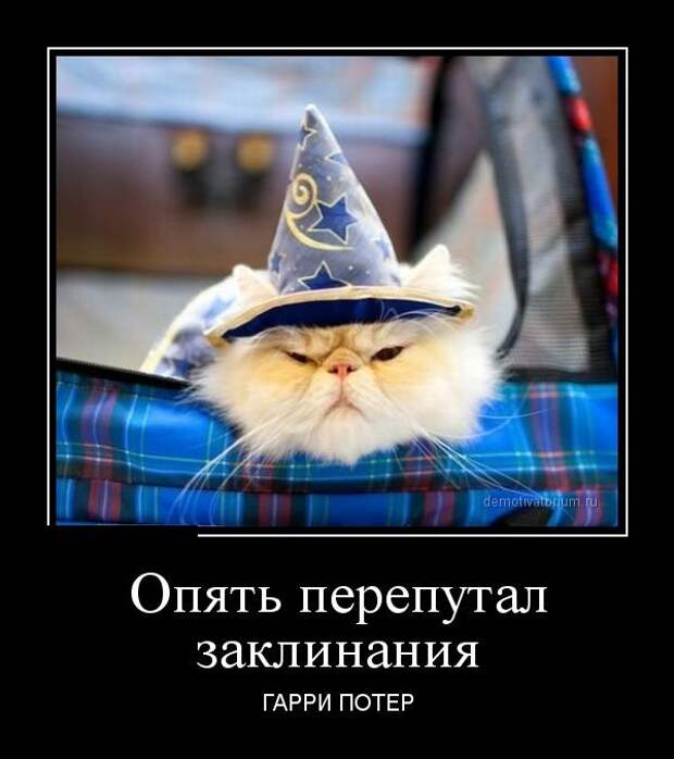 Смешные летние демотиваторы