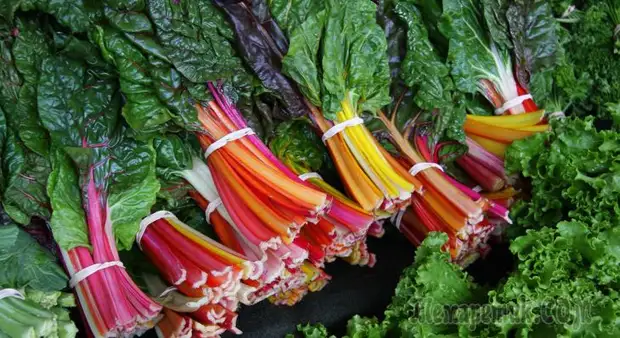 Зеленые овощи для похудения: ТОП-7, которые гарантируют результат