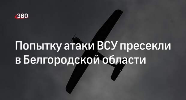Минобороны: средства ПВО сбили над Белгородской областью два дрона ВСУ