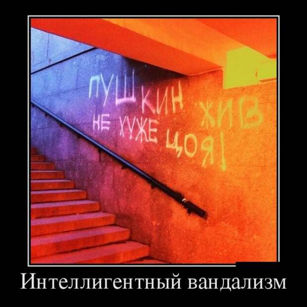 Демотиваторы №1101 (30 фото)