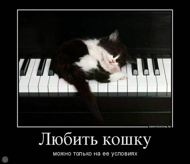 Покой нам только снится! 25