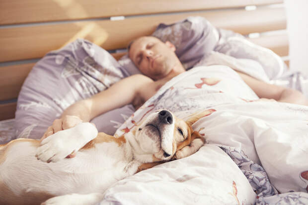 iStock_000073327189_Medium-.jpg