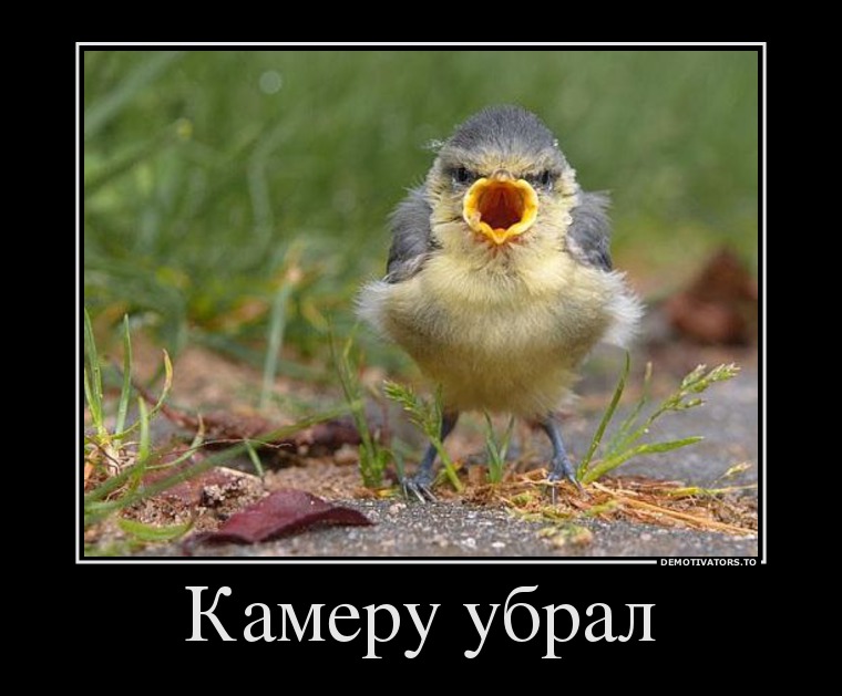 Демотиваторы демотиваторы, прикол, смех, юмор