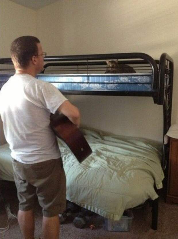 родители с чувством юмора