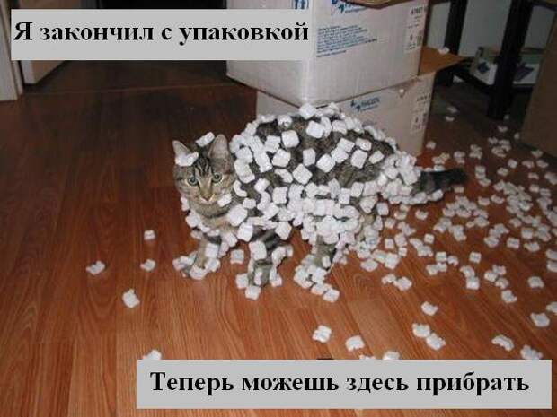 Мысли :) (50мыслей)