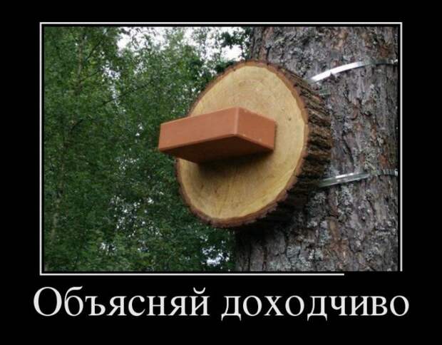 Демотиваторы